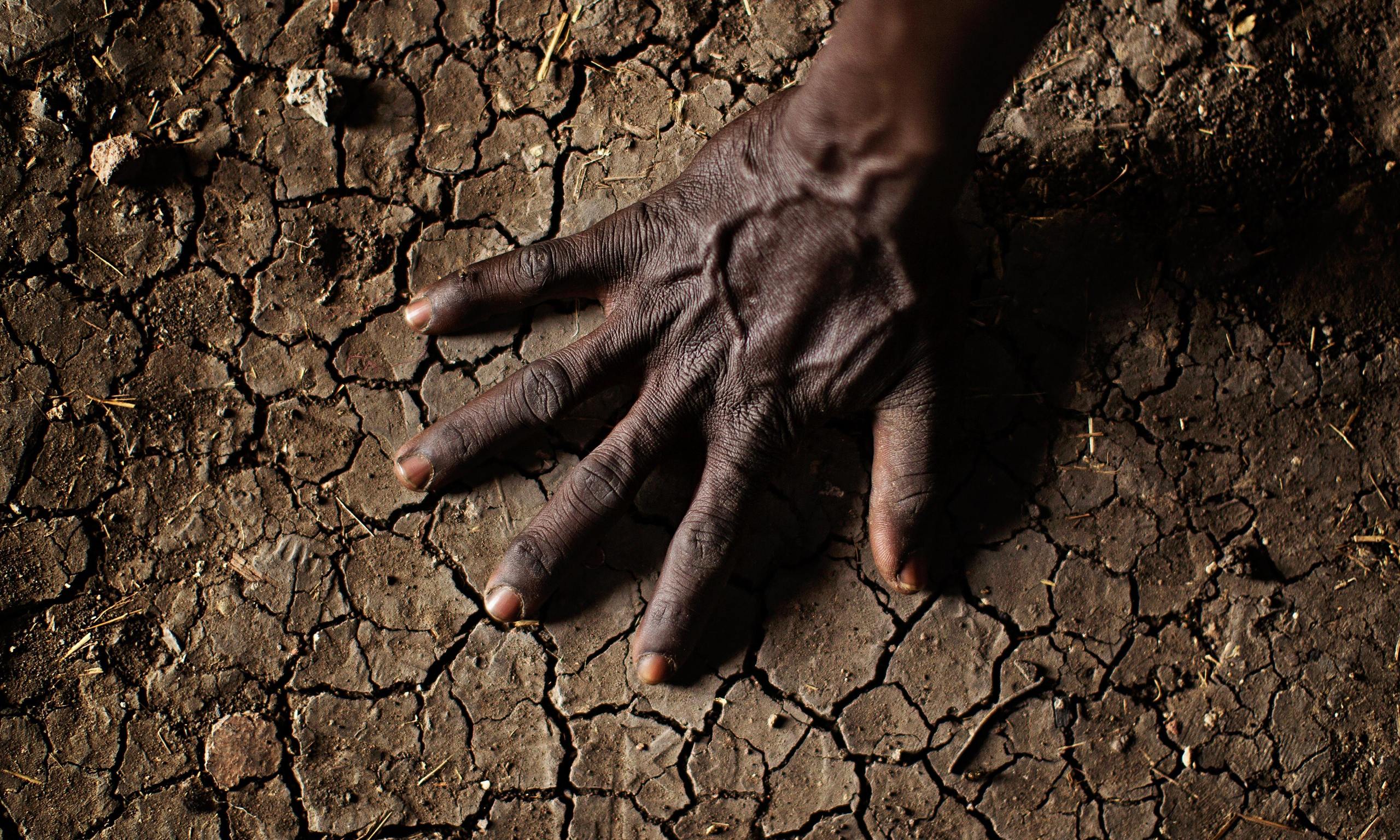 soil-degradation-threatening-food-security-in-africa-expert-panel-says